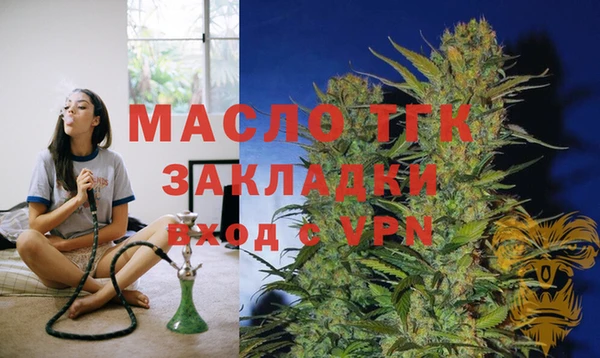 молекула духа Осташков