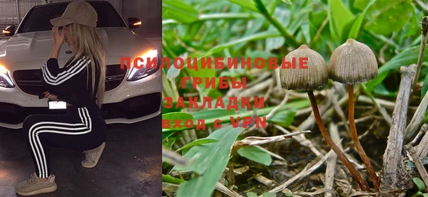 амф Остров