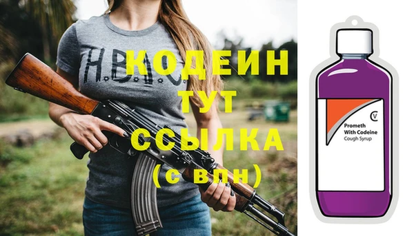 молекула духа Осташков